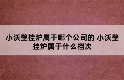 小沃壁挂炉属于哪个公司的 小沃壁挂炉属于什么档次